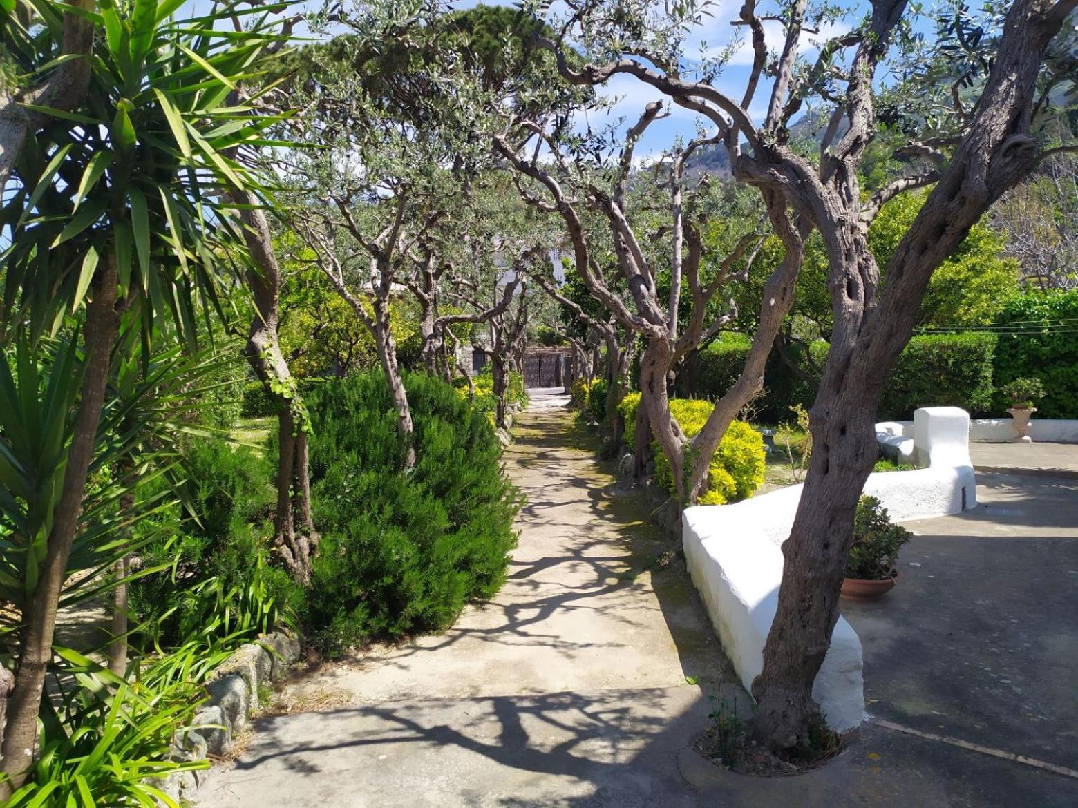Villa Ravino Secret Retreat Forio di Ischia 외부 사진