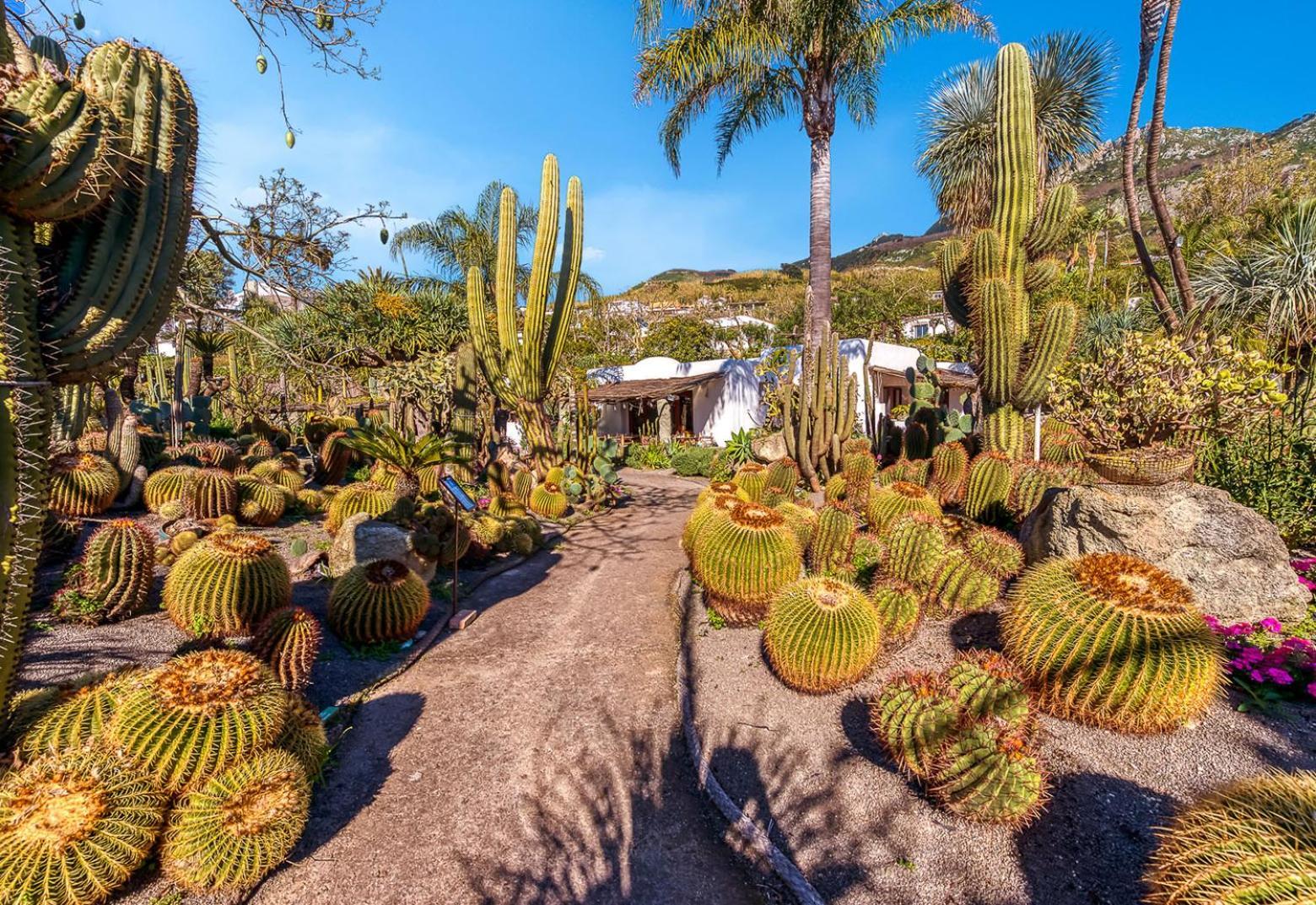 Villa Ravino Secret Retreat Forio di Ischia 외부 사진