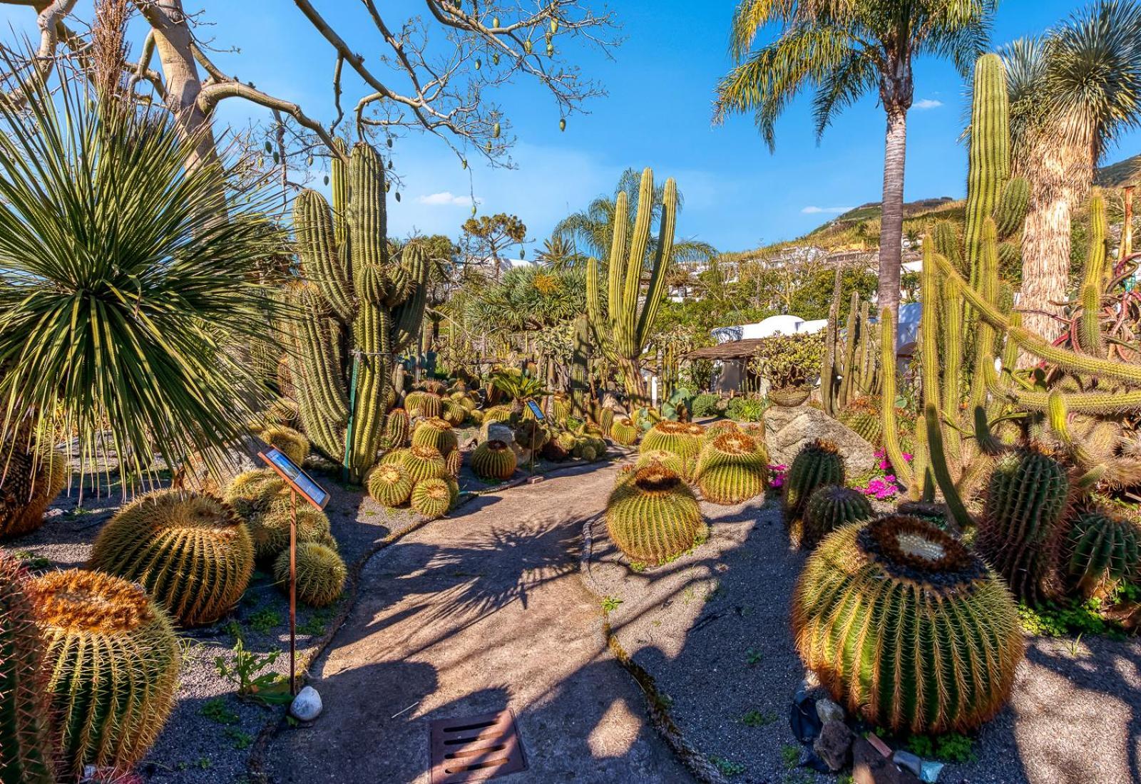 Villa Ravino Secret Retreat Forio di Ischia 외부 사진